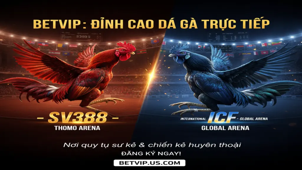Top sảnh đá gà trực tiếp Betvip