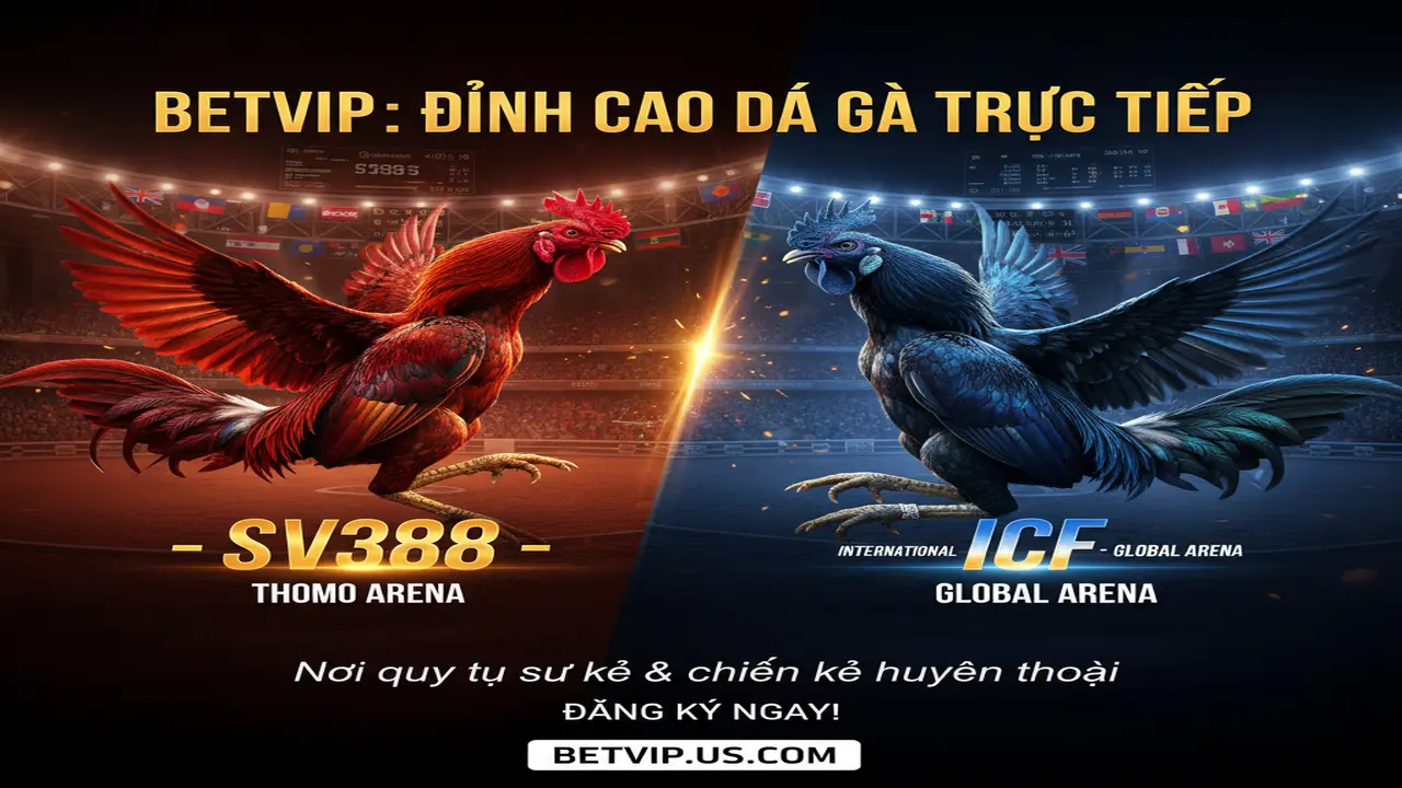 Top sảnh đá gà trực tiếp Betvip
